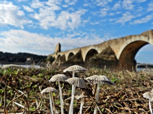 foto fotografia air drone view aerea www.airdroneview.com concurso rally fotografico dia de cooperacion transfronteriza europa europea ganador ganadora fuerte de san cristobal badajoz elvas fotos (2)