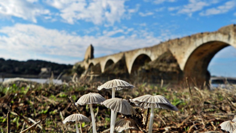 Air Drone View – Ganadora del Primer Accésit del Rally Fotográfico Badajoz – Elvas Air Drone View – Ganadora del Primer Accésit del Rally Fotográfico Badajoz – Elvas