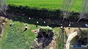 AMUS Air Drone View reportaje drones buho real aguila buitre cigüeña dron drones rpas uav aereo buitres centro conservacion naturaleza accion mundo salvaje www.airdroneview.com (11)