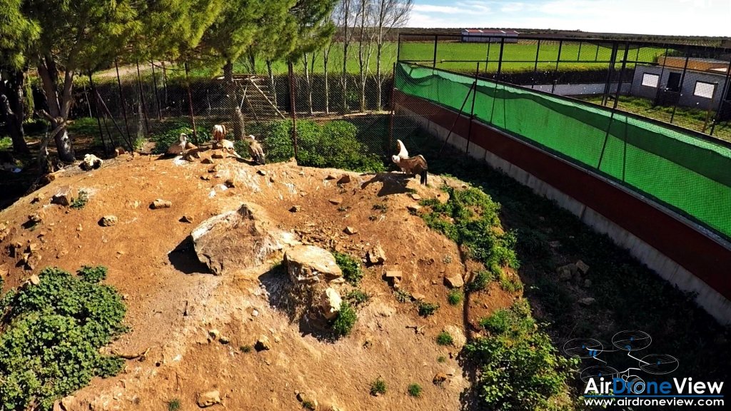 AMUS Air Drone View reportaje drones buho real aguila buitre cigüeña dron drones rpas uav aereo buitres centro conservacion naturaleza accion mundo salvaje www.airdroneview.com (12)