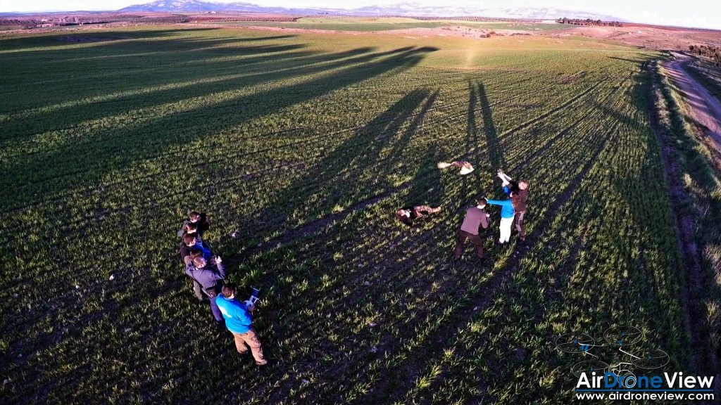 AMUS Air Drone View reportaje drones buho real aguila buitre cigüeña dron drones rpas uav aereo buitres centro conservacion naturaleza accion mundo salvaje www.airdroneview.com (13)