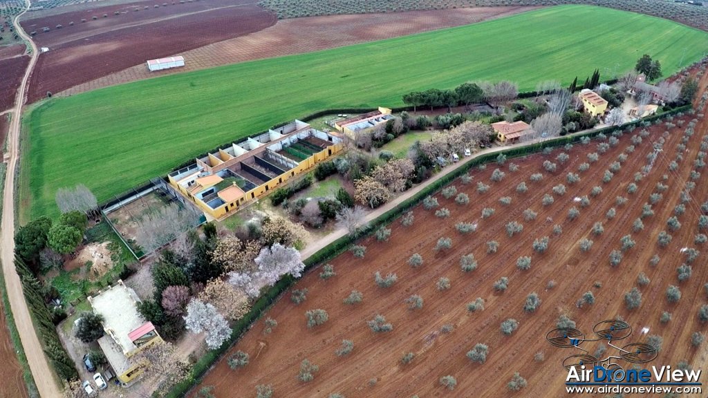 AMUS Air Drone View reportaje drones buho real aguila buitre cigüeña dron drones rpas uav aereo buitres centro conservacion naturaleza accion mundo salvaje www.airdroneview.com (1)