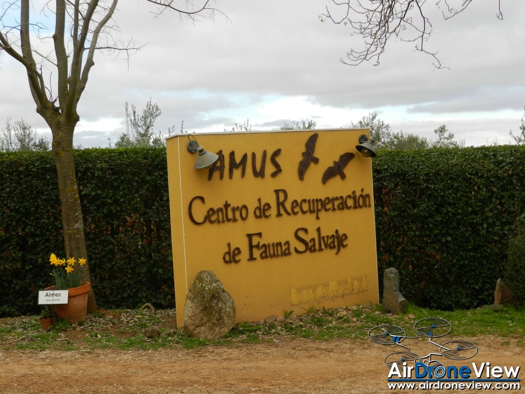 AMUS Air Drone View reportaje drones buho real aguila buitre cigüeña dron drones rpas uav aereo buitres centro conservacion naturaleza accion mundo salvaje www.airdroneview.com (4)