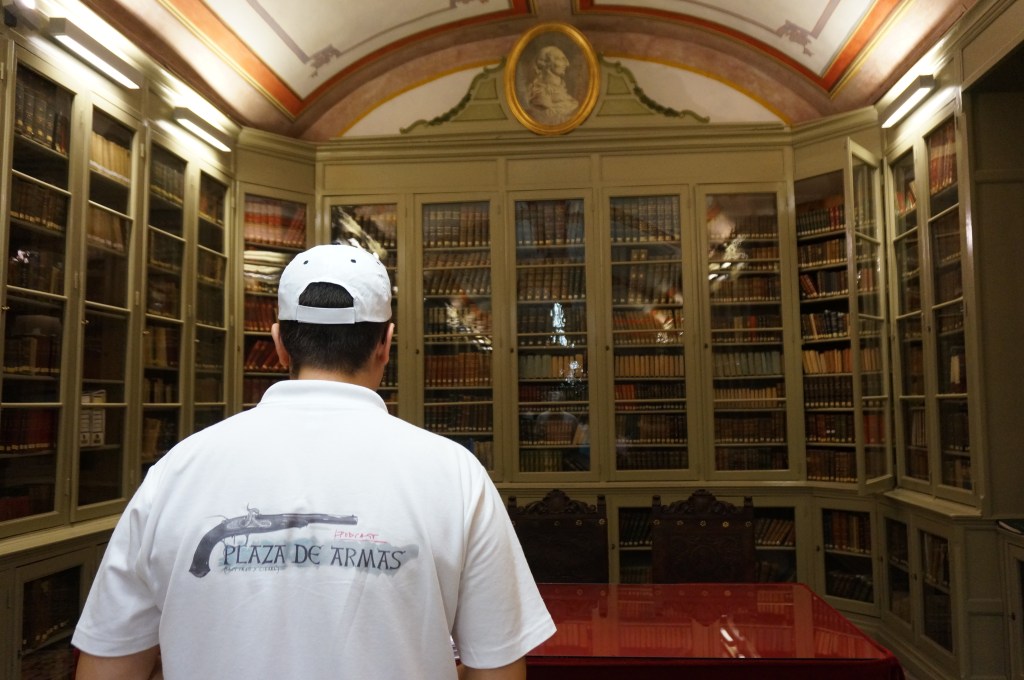 air drone view www.airdroneview.com documental historia biblioteca asociacion amigos del pais plaza de armas podcast batalla gudiño drones españa (23)