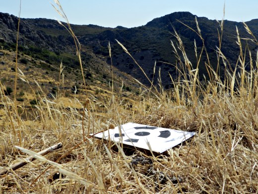 air drone view colaboracion sinergia tecnicas geomaticas empresa topografia dron rpas españa extremadura trabajos tecnicos topografia www.airdroneview.com cartografia levantamiento (74)