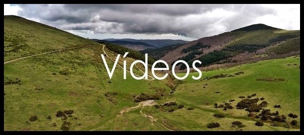 air drone view trabajos videos aereos drones extremadura españa zaragoza rpas badajoz operador drones empresa www.airdroneview.com 1