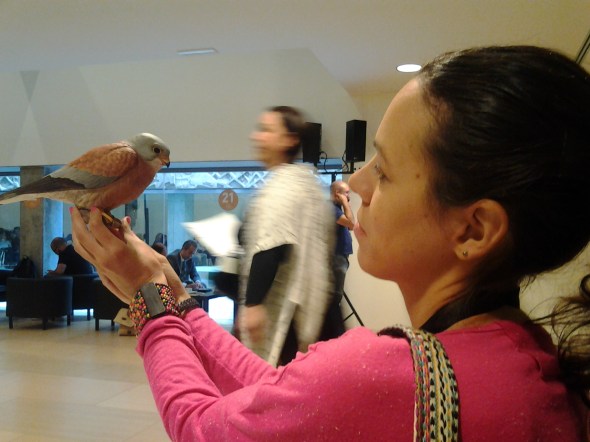 conecta empresas air drone view www.airdroneview.com rpas uav avante merida reuniones punto activacion empresarial pae (1)