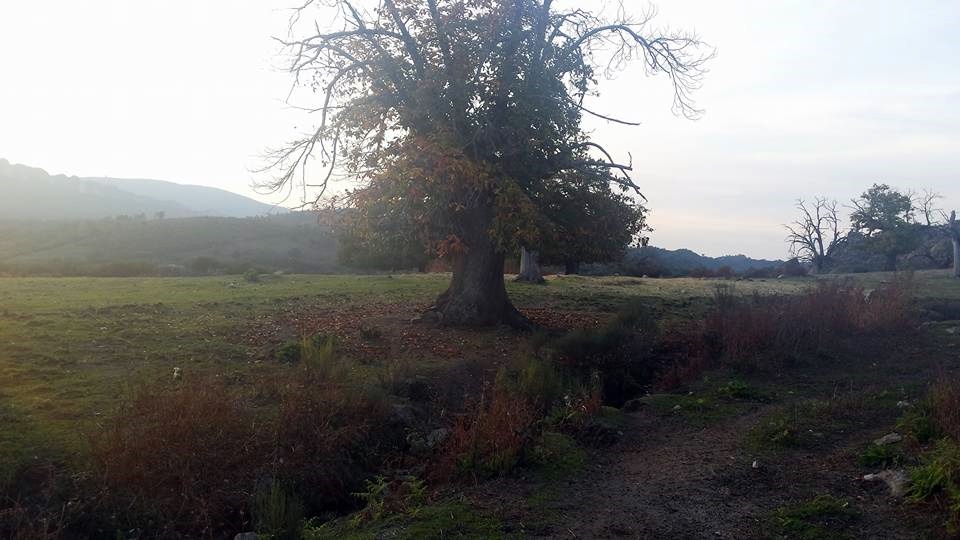 air drone view operativa extremadura operador de drones vuelos con drones rpas badajoz4