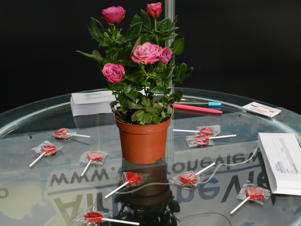 expobodas 2015 badajoz extremadura españa portugal www.airdroneview.com air drone view stand foto video aereo reportaje boda weddings aerial empresa (5)