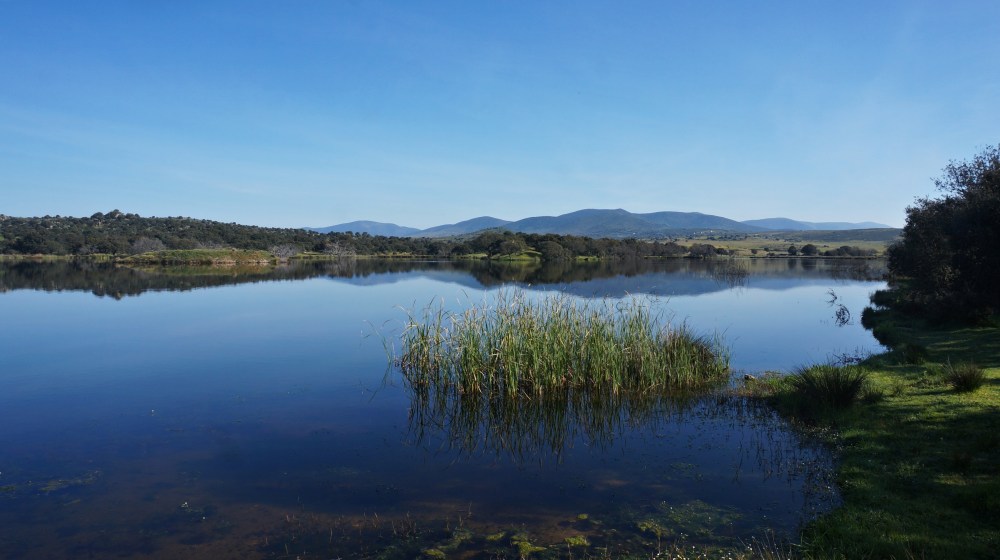 air drone view miajadas trujillo adicomt iberoaves alcollarin embalse actividades ornitologia dia de las aves drones extremadura españa censo cigüeña a vista de pajaro (9)