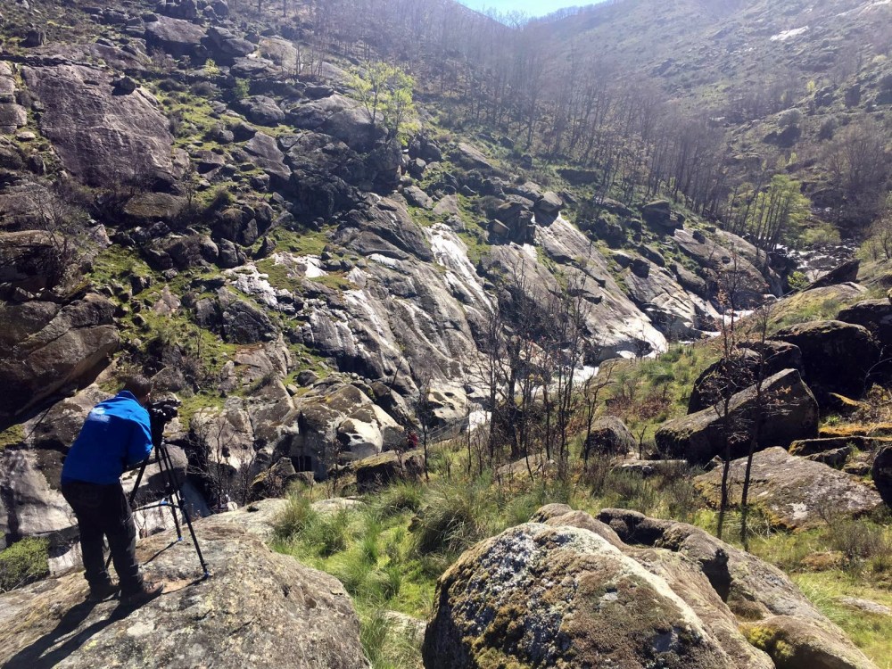 0f2cba97-52bd-4058-8bbc-d332958bd8b7