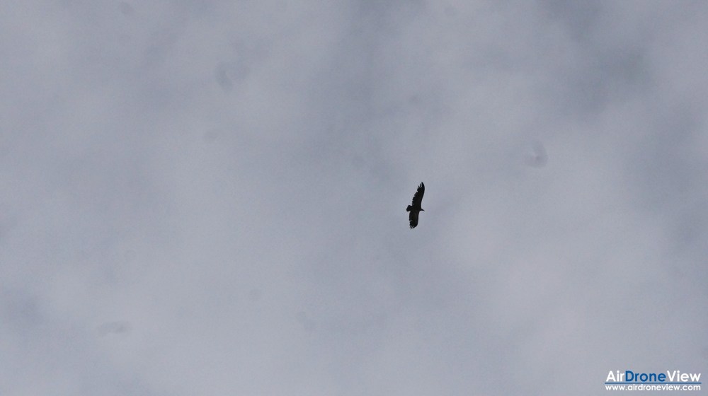 air drone view badajoz caceres aesa legal operadores canchos de ramiro documental television aereo vista de pajaro aire dron rpa uav homologado ministerio de fomento fauna desde el aire (4)