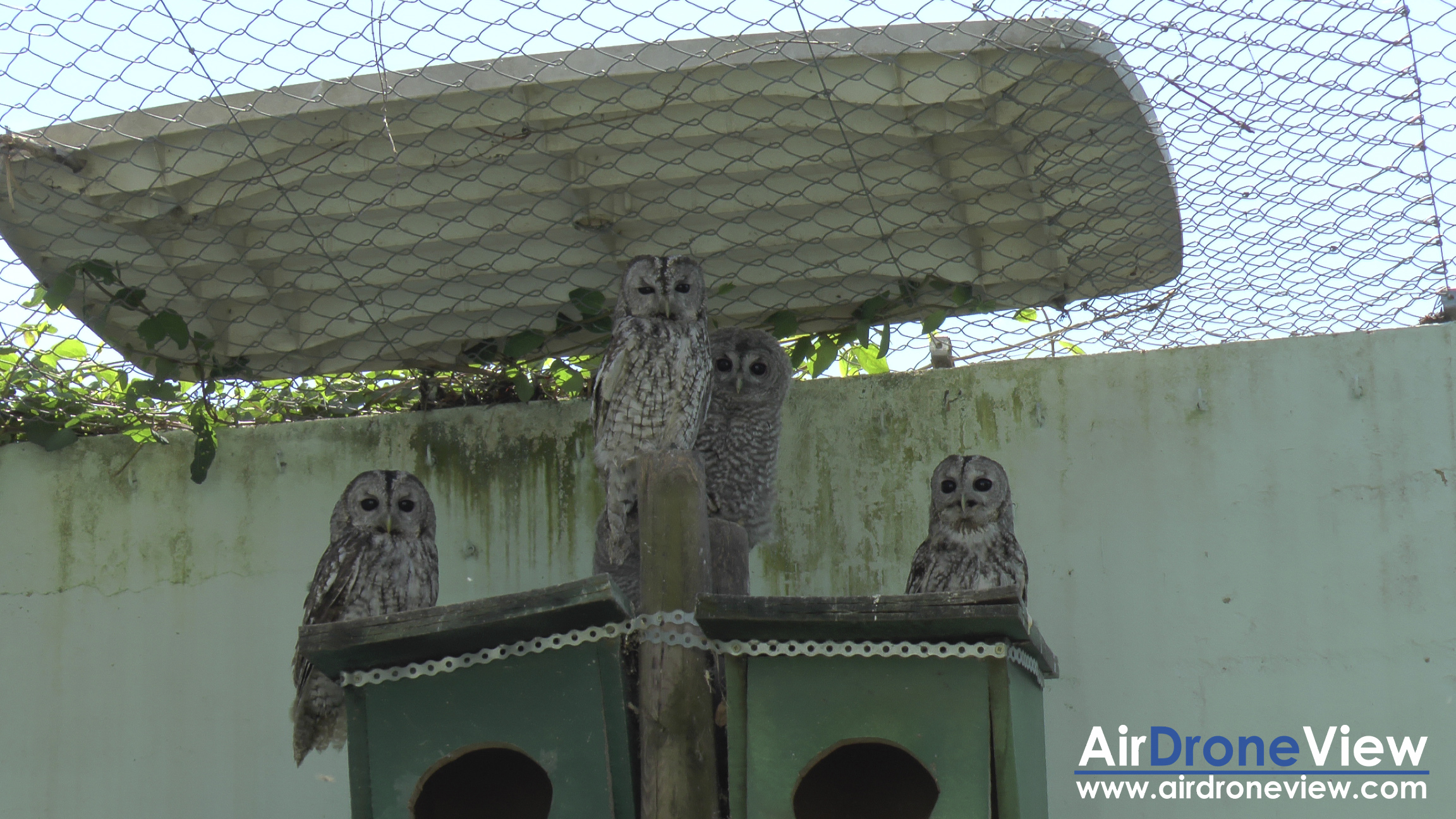 air drone view expedicion aborigen caminos del guadiana rio aventura dron drone badajoz portugal españa caceres descenso canal extremadura rtve extremadura ciudad real daimiel  (2)