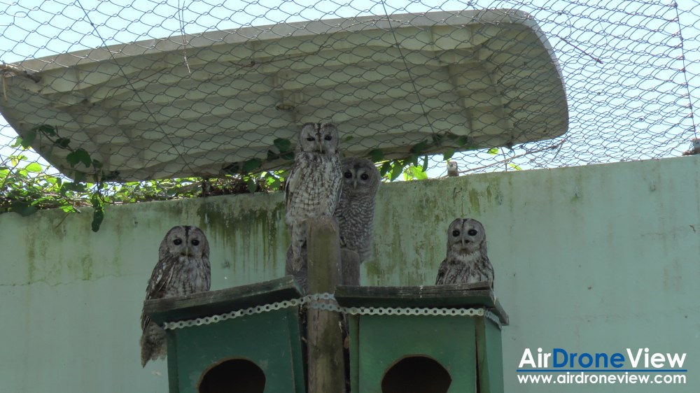 air drone view expedicion aborigen caminos del guadiana rio aventura dron drone badajoz portugal españa caceres descenso canal extremadura rtve extremadura ciudad real daimiel (2)