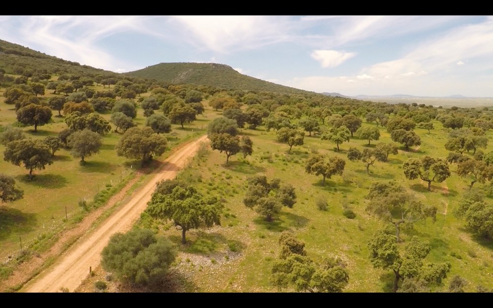 air drone view grabacion aerea badajoz aereo extremadura cabeza del buey aesa (5)