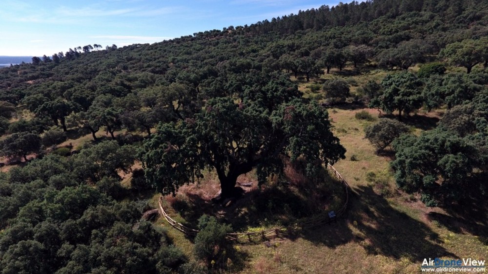 air drone view alburquerque castillo de luna castillo de azagala peña del aguila documental extremadura turismo aventura ocio drones badajoz caceres promocional (4)
