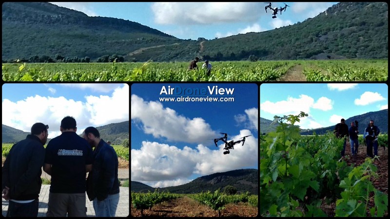 Filmando viñedos para spot&nbsp;publicitario