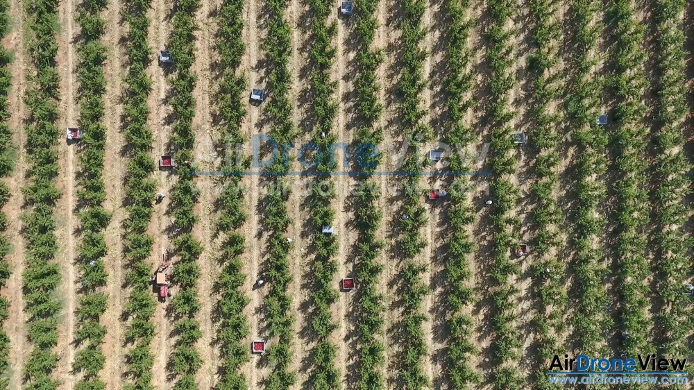 air drone view jurofrutas extremadura badajoz portugal legal operadores turismo video promocional phantom 4 dji