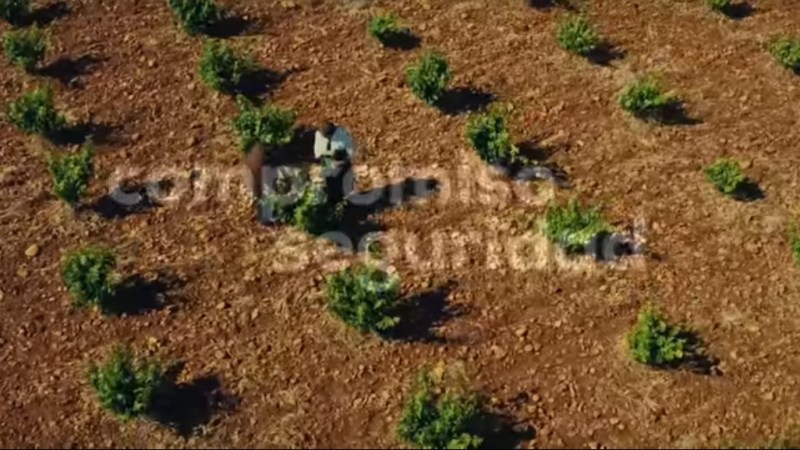 Un spot que emociona es porque es&nbsp;bueno.