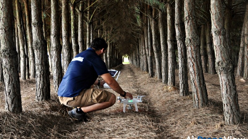 Vuelos de verano, a la&nbsp;sombra