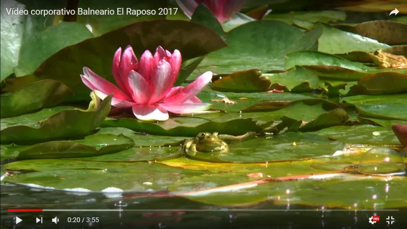 Vídeo promocional, Balneario El&nbsp;Raposo