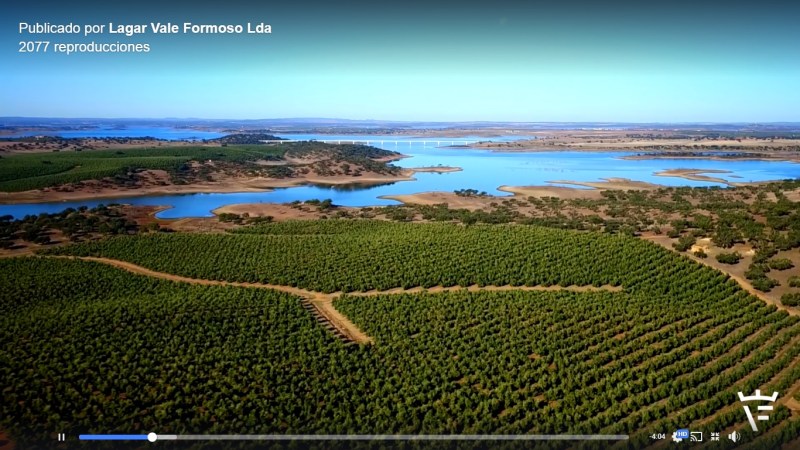 Lagar Vale Formoso, desde nuestros&nbsp;ojos.