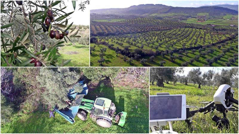 El #orolíquido de&nbsp;Extremadura.