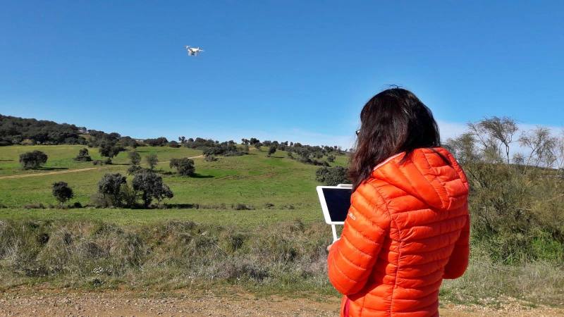 Finales y principios y vuelos de&nbsp;drones.