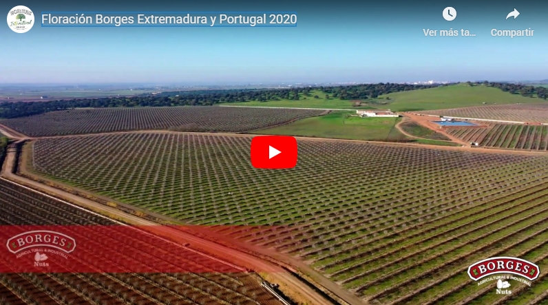 Borges International Group – Floración almendros España y Portugal&nbsp;2020