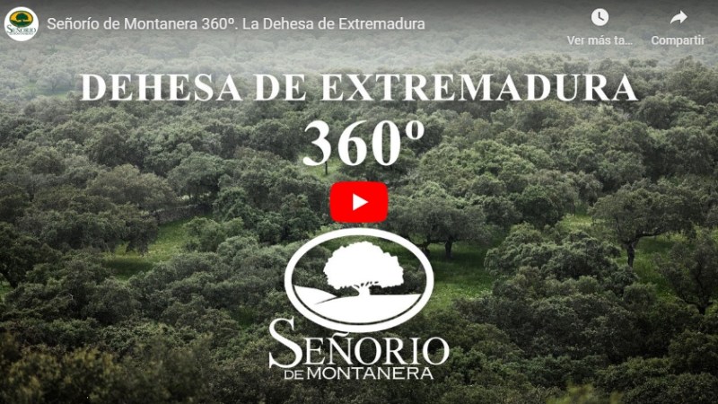 Vídeo aéreo 360 para Señorío de Montanera, con The Three Dragons Vídeo aéreo 360 para Señorío de Montanera, con The Three Dragons