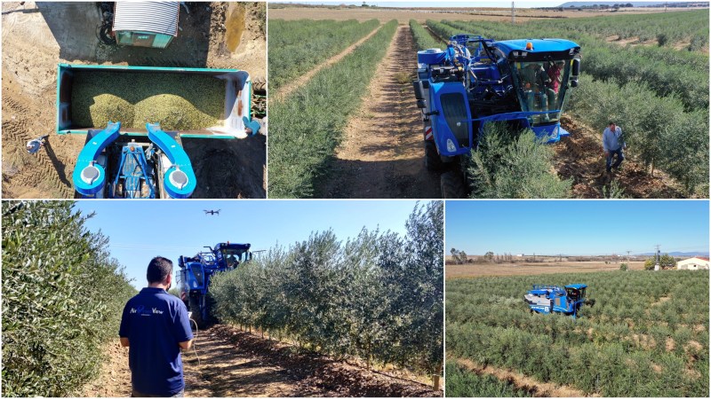 Grabando la recogida de la aceituna para empresa de&nbsp;fertilizantes