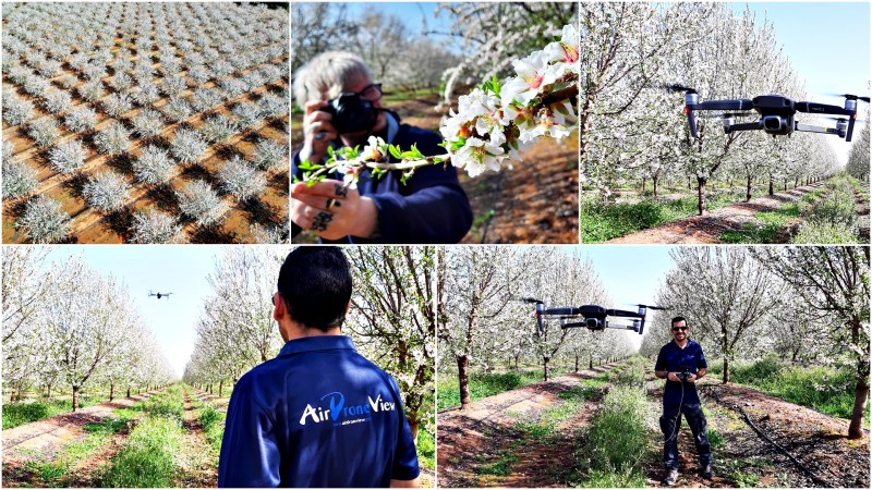 Un regalo para la vista: la floración de los almendros en&nbsp;Portugal