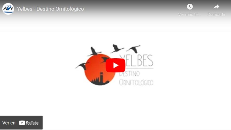 El vídeo de Yelbes para FITUR&nbsp;2022