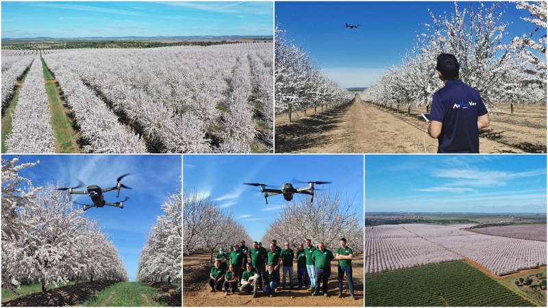 Grabación de almendros en flor en España y Portugal Grabación de almendros en flor en España y Portugal