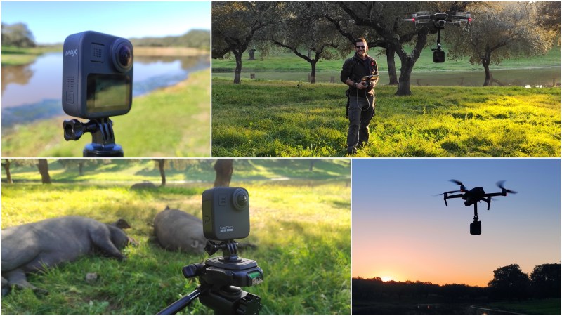 Grabación de la montanera con cámara 360º y&nbsp;drones